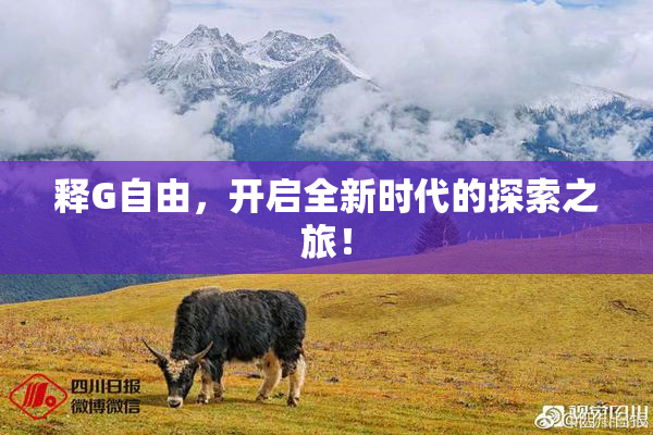 释G自由，开启全新时代的探索之旅！