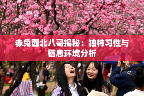 赤兔西北八哥揭秘：独特习性与栖息环境分析