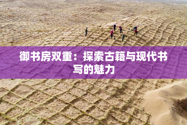 御书房双重：探索古籍与现代书写的魅力