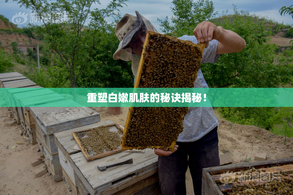 重塑白嫩肌肤的秘诀揭秘！