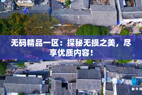 无码精品一区：探秘无损之美，尽享优质内容！