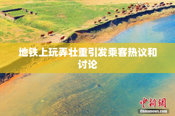 地铁上玩弄壮重引发乘客热议和讨论