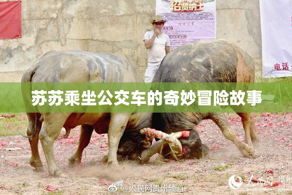 苏苏乘坐公交车的奇妙冒险故事