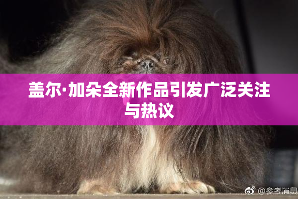 盖尔·加朵全新作品引发广泛关注与热议