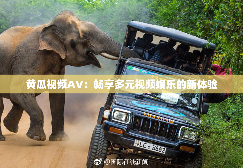 黄瓜视频AV：畅享多元视频娱乐的新体验