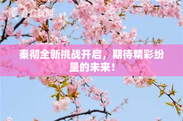 秦彻全新挑战开启，期待精彩纷呈的未来！
