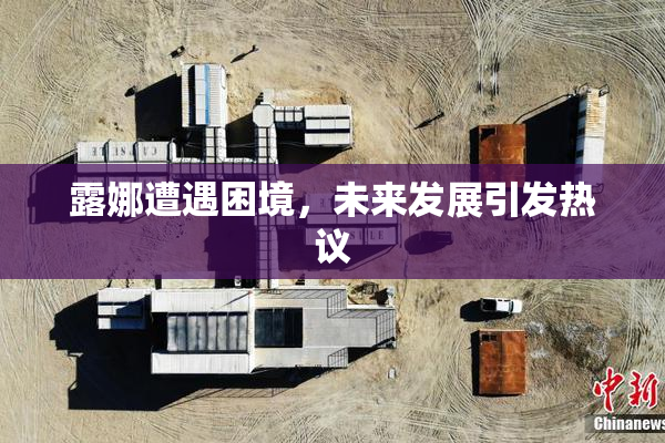 露娜遭遇困境，未来发展引发热议