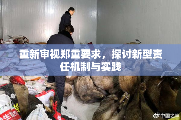 重新审视郑重要求，探讨新型责任机制与实践