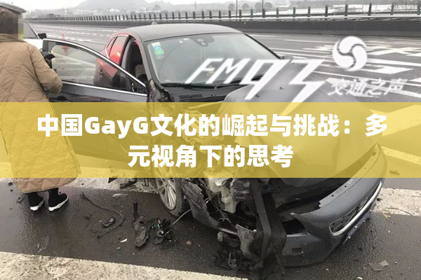 中国GayG文化的崛起与挑战：多元视角下的思考