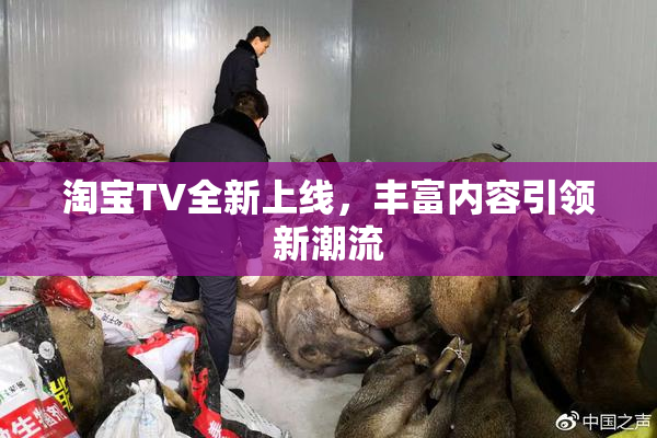 淘宝TV全新上线，丰富内容引领新潮流