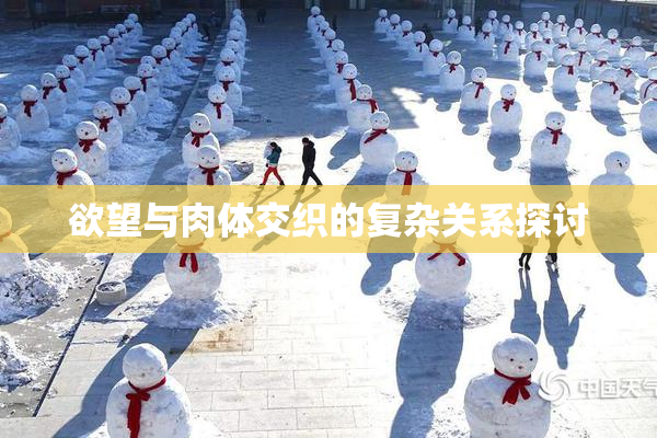 欲望与肉体交织的复杂关系探讨