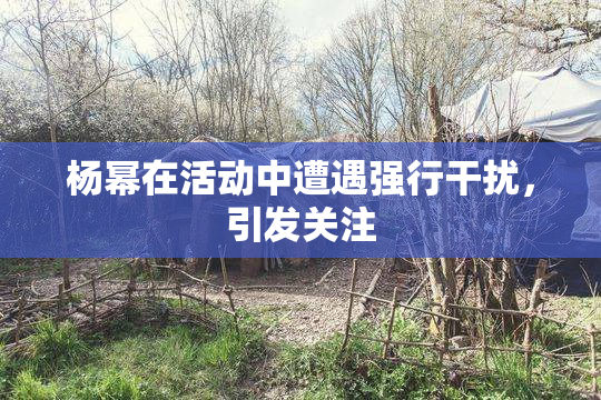 杨幂在活动中遭遇强行干扰，引发关注