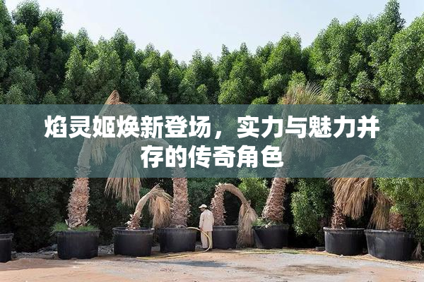 焰灵姬焕新登场，实力与魅力并存的传奇角色