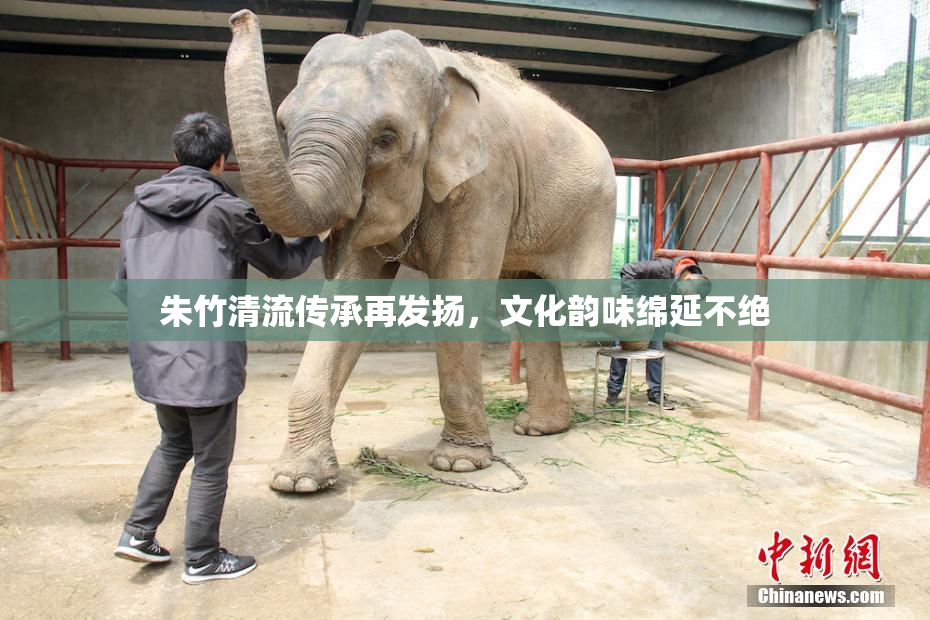 朱竹清流传承再发扬，文化韵味绵延不绝