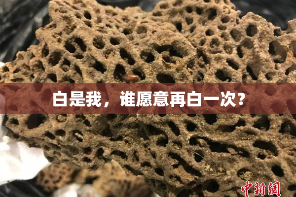 白是我，谁愿意再白一次？