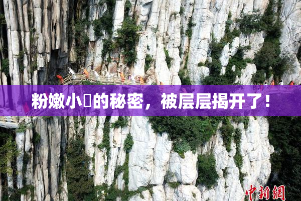 粉嫩小泬的秘密，被层层揭开了！
