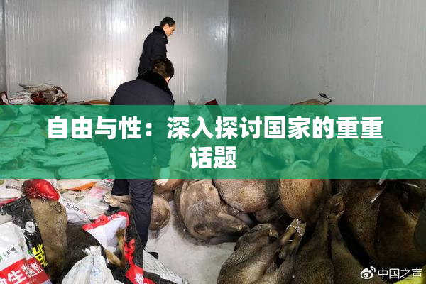 自由与性：深入探讨国家的重重话题