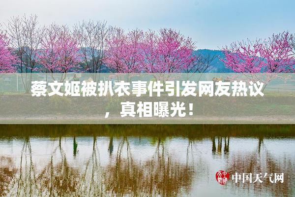 蔡文姬被扒衣事件引发网友热议，真相曝光！