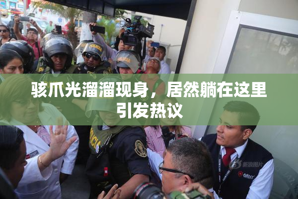 骇爪光溜溜现身，居然躺在这里引发热议