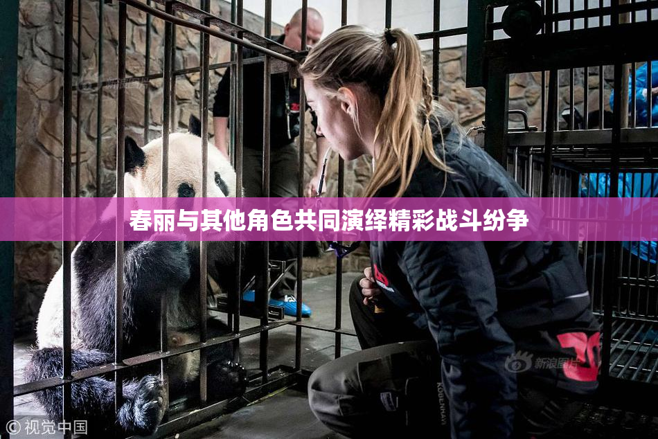 春丽与其他角色共同演绎精彩战斗纷争