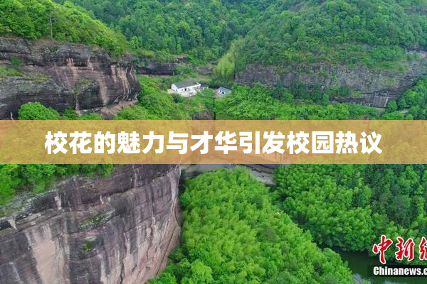 校花的魅力与才华引发校园热议