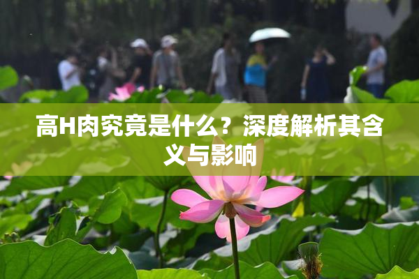 高H肉究竟是什么？深度解析其含义与影响