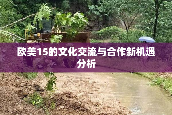 欧美15的文化交流与合作新机遇分析