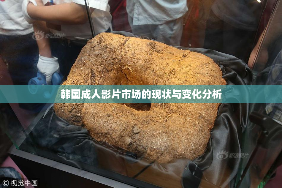 韩国成人影片市场的现状与变化分析
