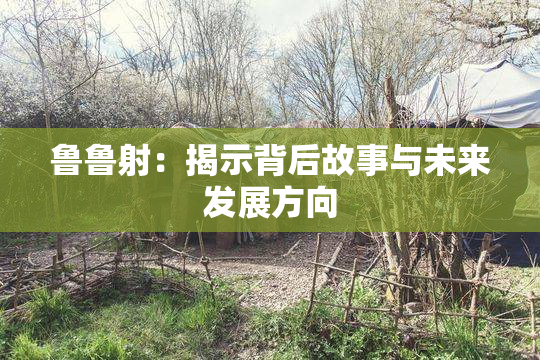鲁鲁射：揭示背后故事与未来发展方向