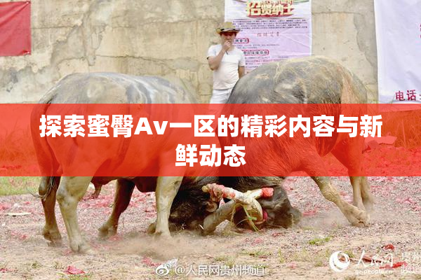 探索蜜臀Av一区的精彩内容与新鲜动态