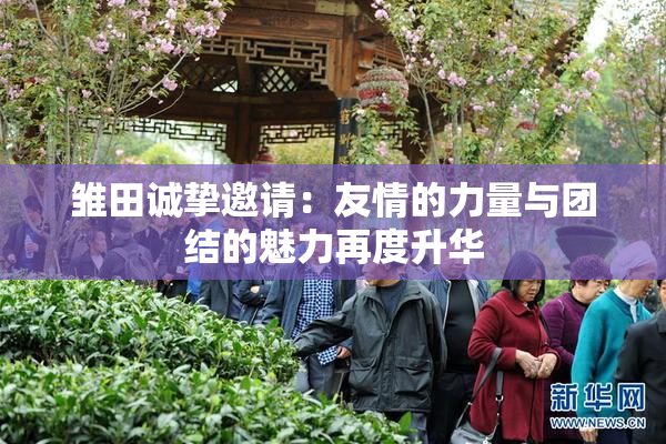 雏田诚挚邀请：友情的力量与团结的魅力再度升华