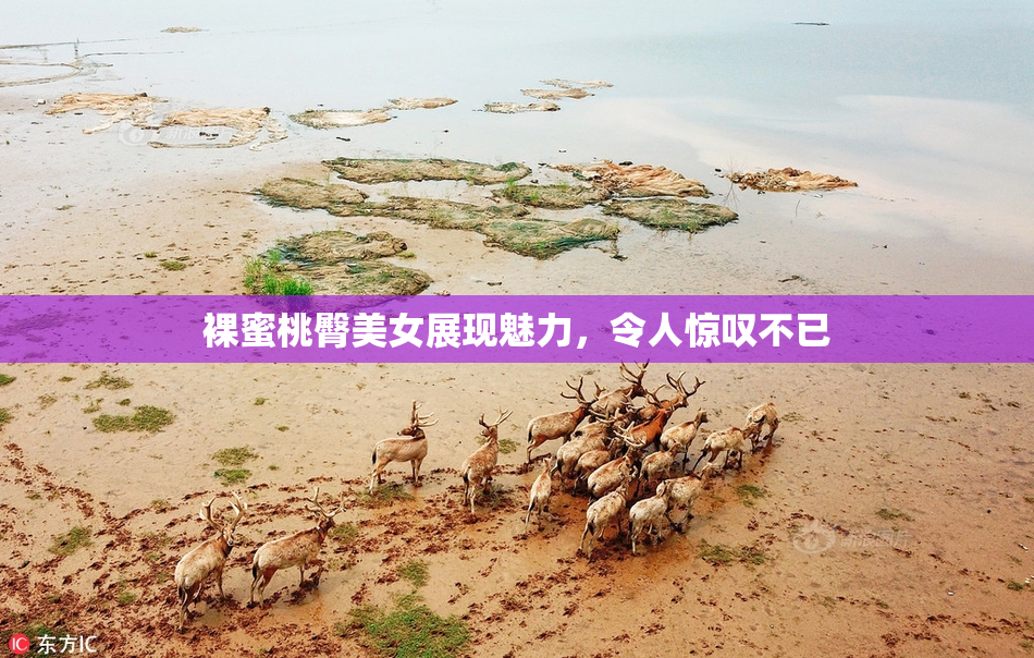 裸蜜桃臀美女展现魅力，令人惊叹不已