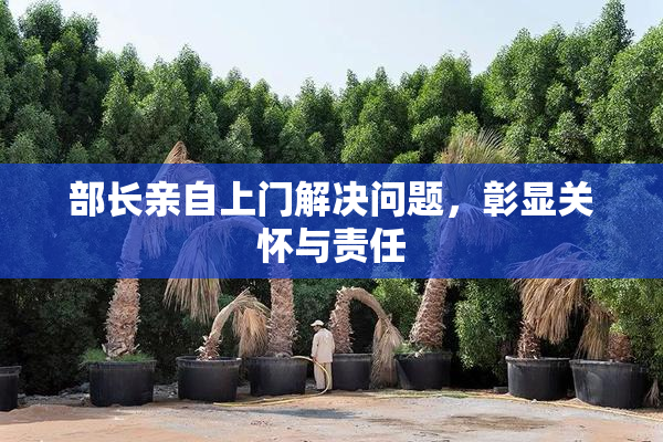 部长亲自上门解决问题，彰显关怀与责任