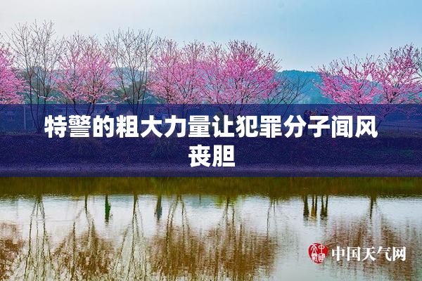 特警的粗大力量让犯罪分子闻风丧胆