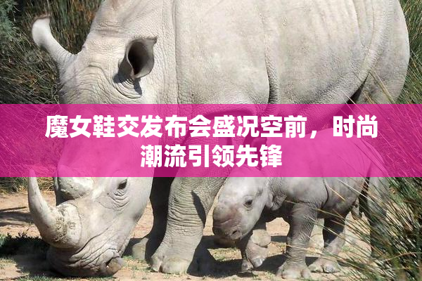 魔女鞋交发布会盛况空前，时尚潮流引领先锋
