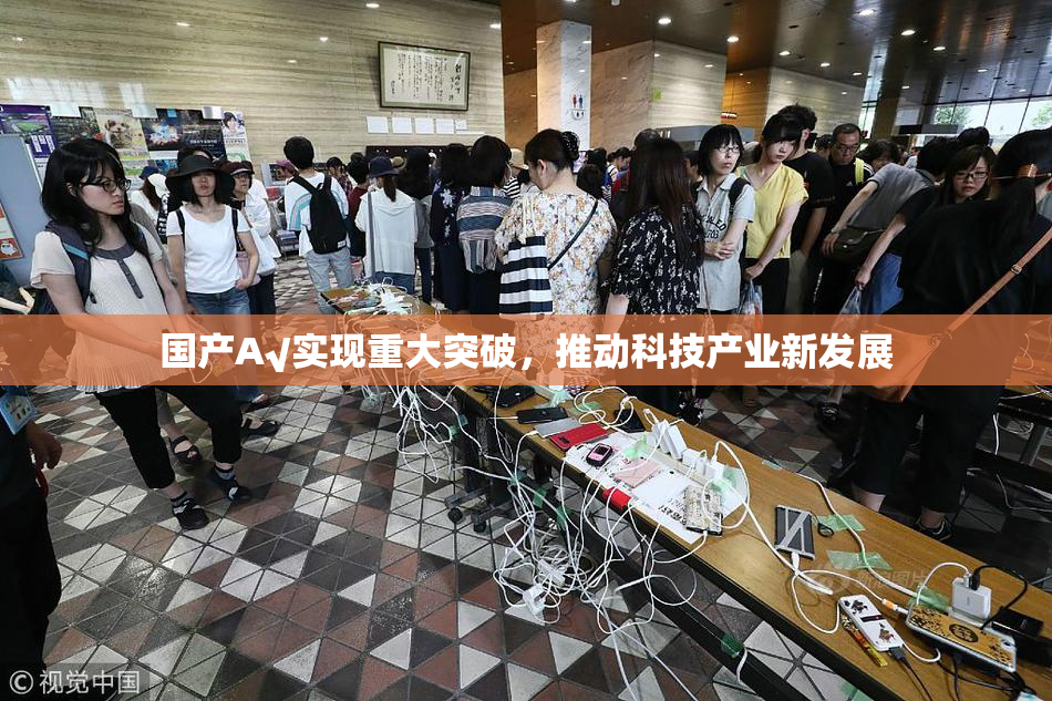 国产A√实现重大突破，推动科技产业新发展