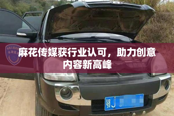麻花传媒获行业认可，助力创意内容新高峰