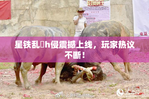 星铁乱婬h侵震撼上线，玩家热议不断！