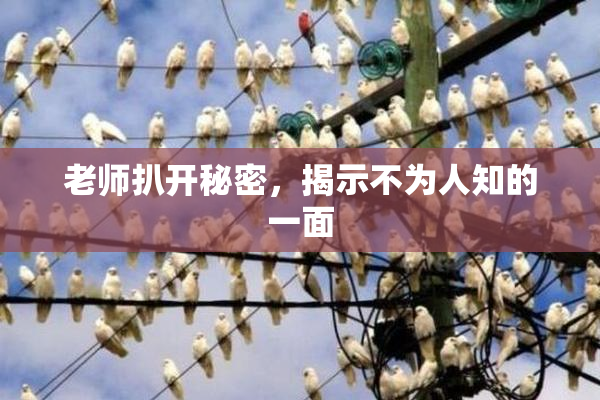 老师扒开秘密，揭示不为人知的一面