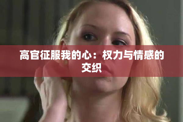 高官征服我的心：权力与情感的交织