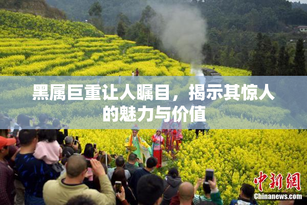 黑属巨重让人瞩目，揭示其惊人的魅力与价值