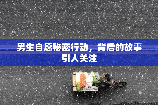 男生自愿秘密行动，背后的故事引人关注