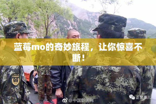 蓝莓mo的奇妙旅程，让你惊喜不断！