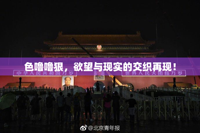 色噜噜狠，欲望与现实的交织再现！