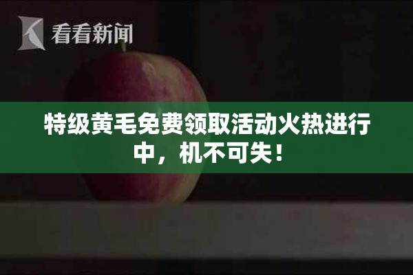 特级黄毛免费领取活动火热进行中，机不可失！
