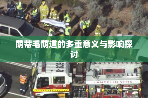荫蒂毛荫道的多重意义与影响探讨