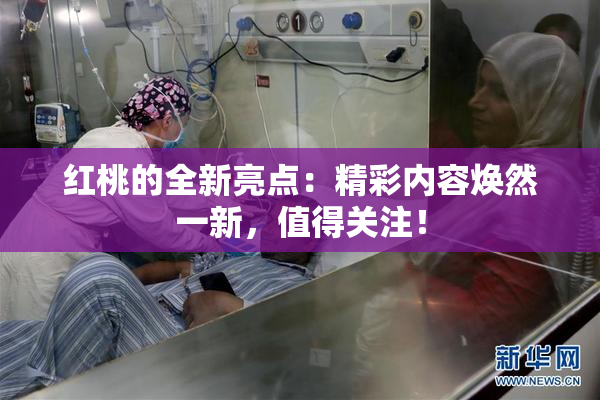 红桃的全新亮点：精彩内容焕然一新，值得关注！