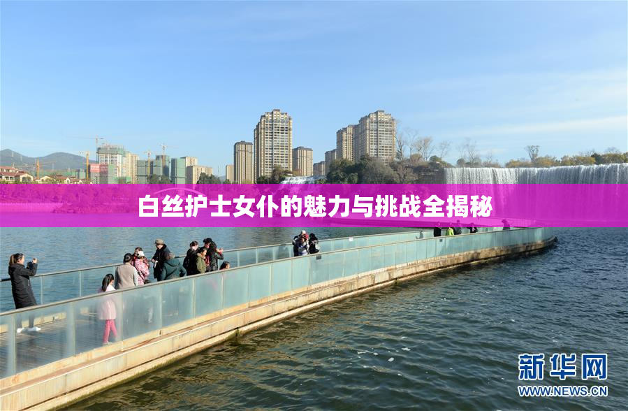 白丝护士女仆的魅力与挑战全揭秘