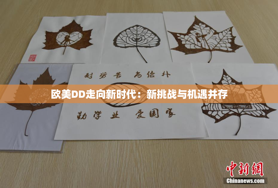 欧美DD走向新时代：新挑战与机遇并存