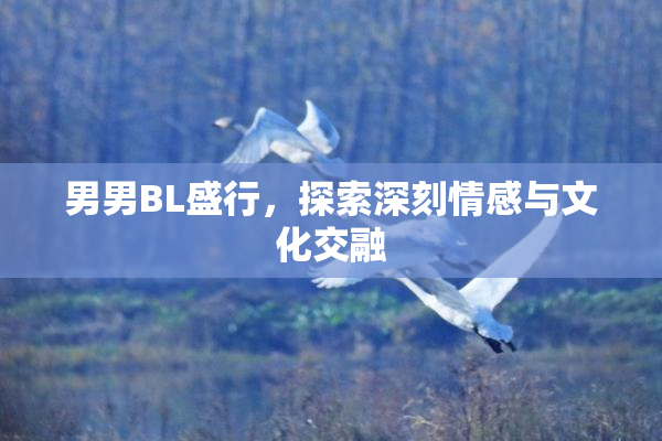 男男BL盛行，探索深刻情感与文化交融